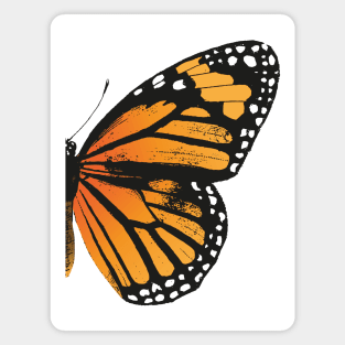 Monarch Butterfly | Right Wing | Vintage Butterflies | Butterfly Wings | Diptych | Magnet